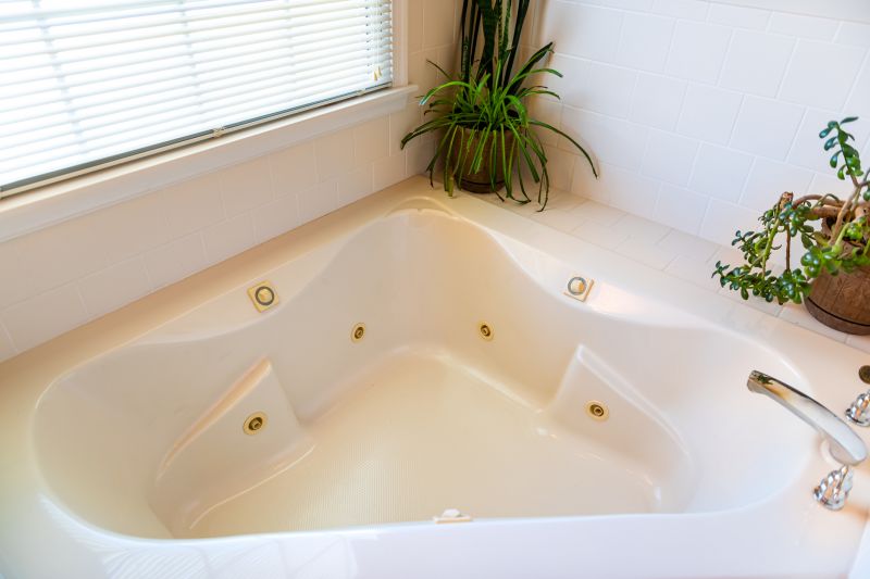 Luxurious Bathtub Installation